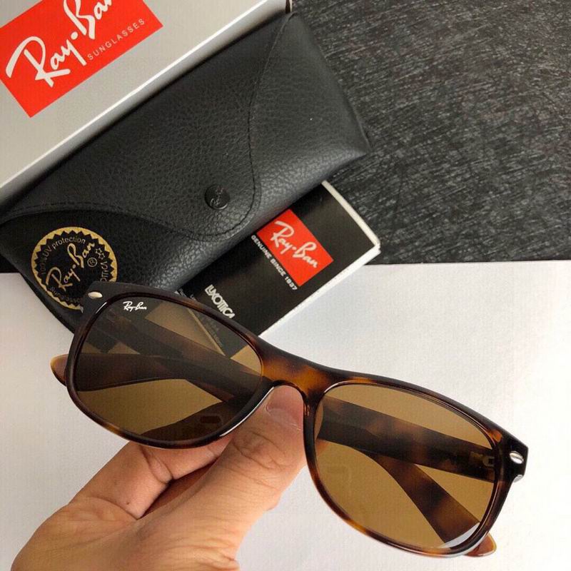 Rayban Glasses 010910