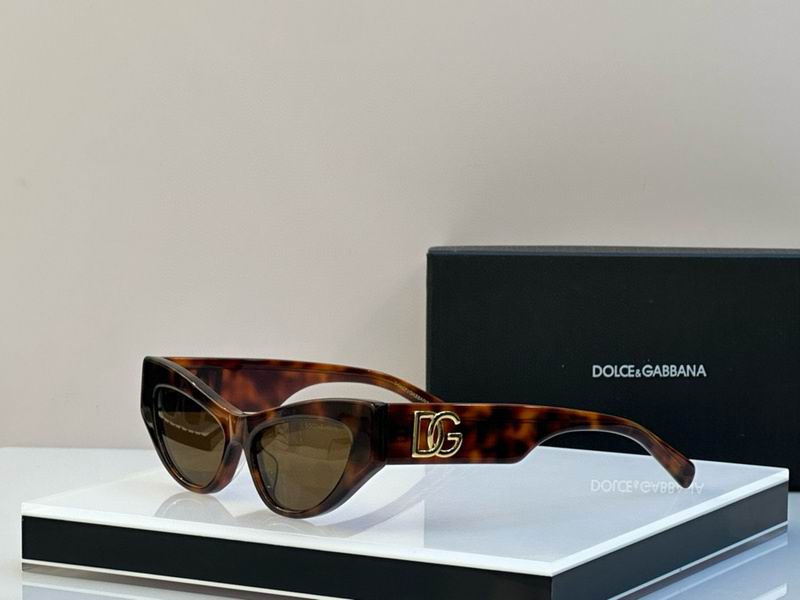 DG Glasses 011906