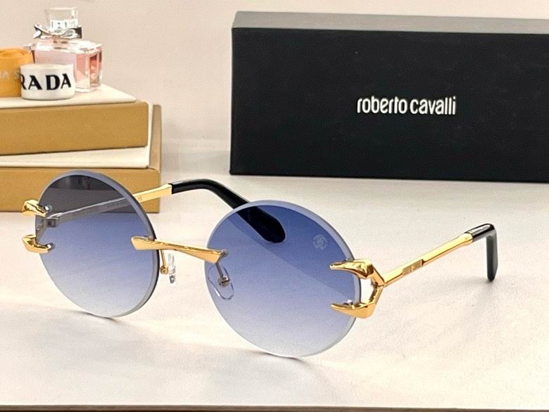 Roberto Cavalli Glasses 012601