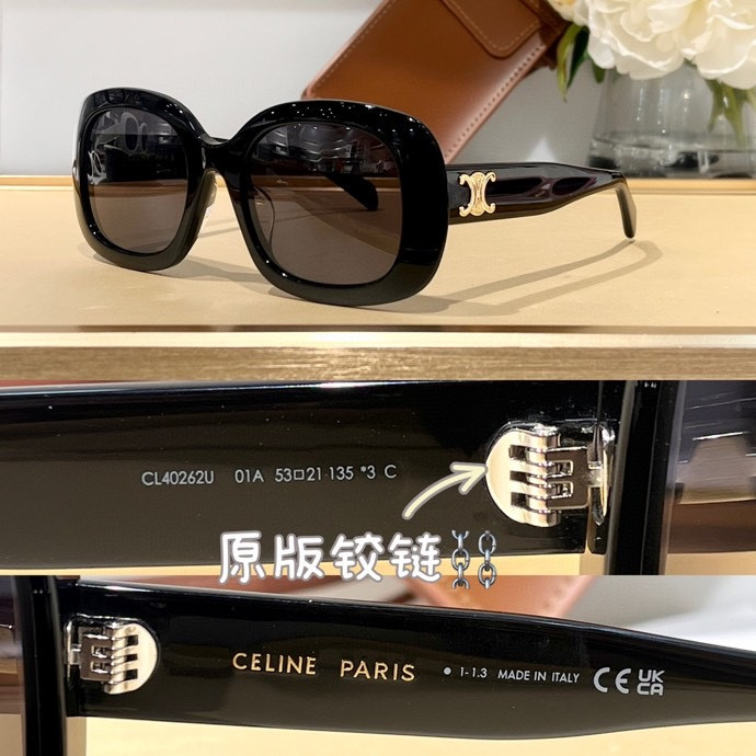 Celine Glasses smx22