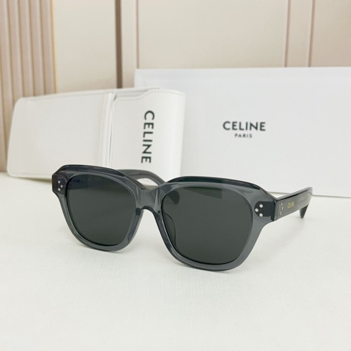 Celine Glasses smx25