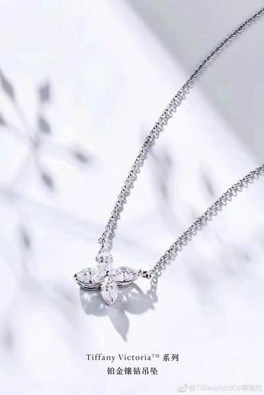 Tiffany necklace lyh5