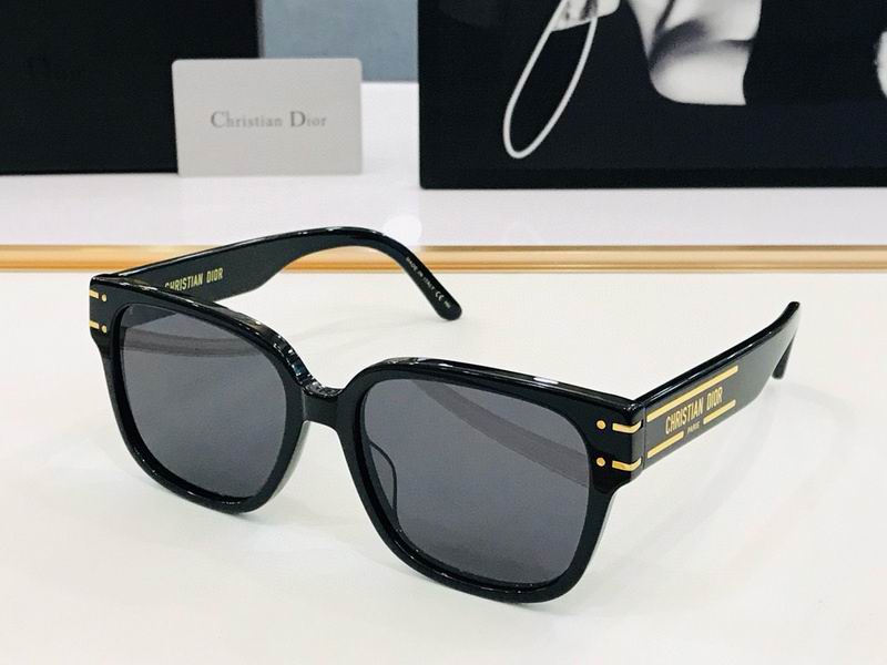 Dior Glasses smr01