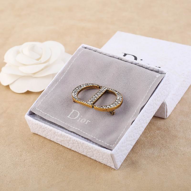 Dior Brooch 04lyr20