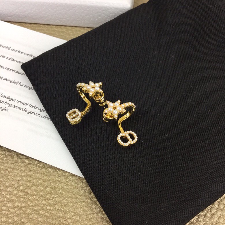 Dior Earring 04lyr215