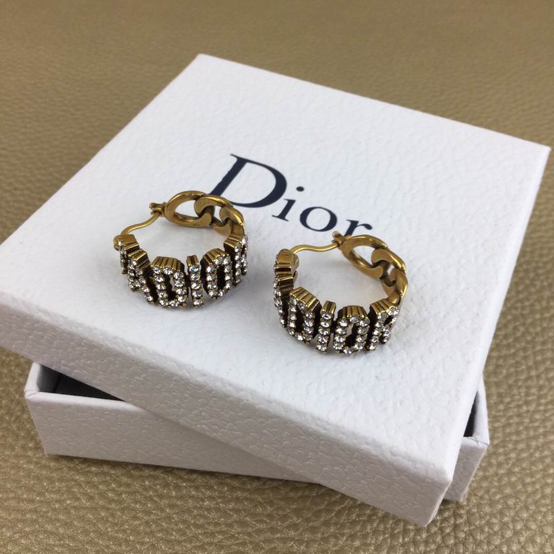 Dior Earring 04lyr256