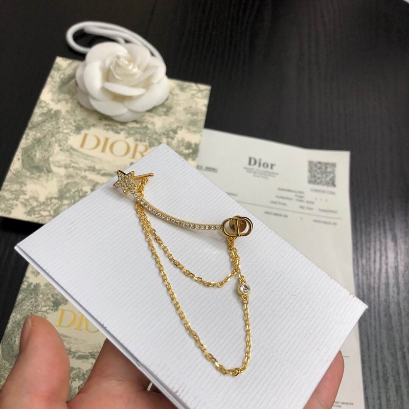Dior Earring 04lyr260