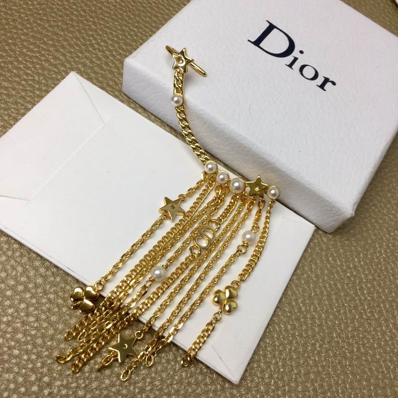 Dior Earring 04lyr312