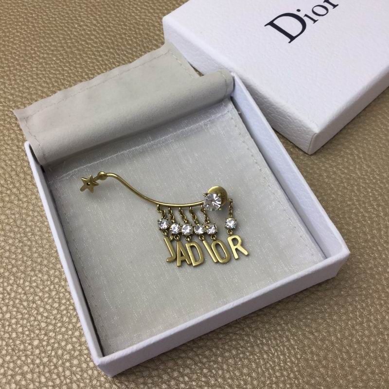 Dior Earring 04lyr317