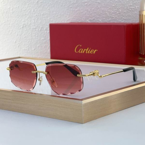 Cartier CT0058O 55 18-135 C