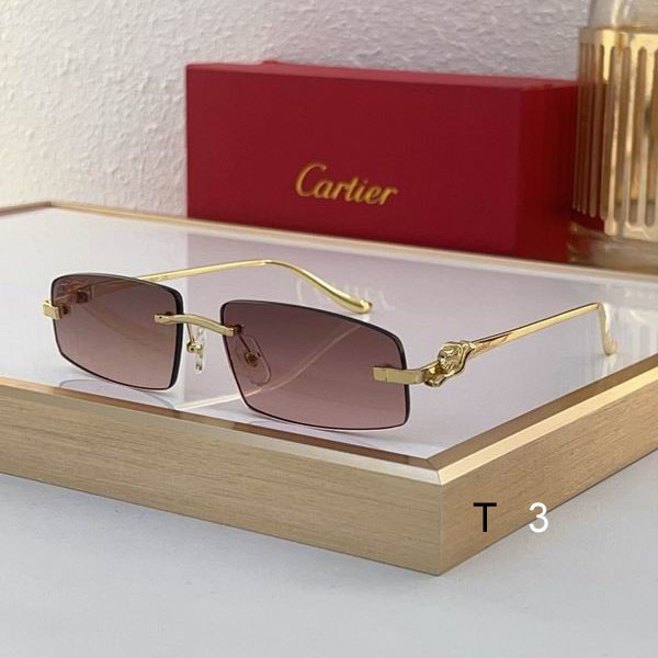 Cartier CT0505S 58 16-135 c