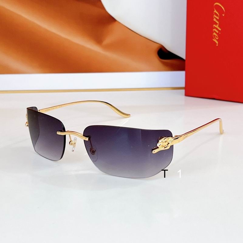 Cartier CT0503S 71 18-115 a