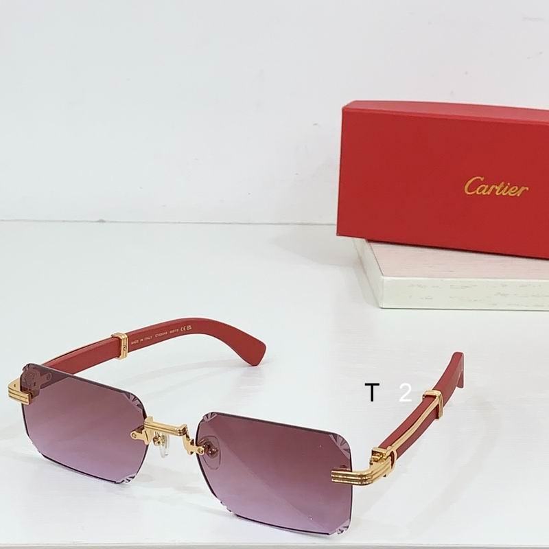 Cartier CT0534S 59 20-145 b