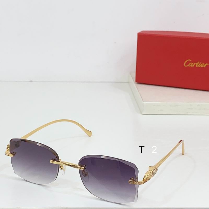 Cartier CT0517S b