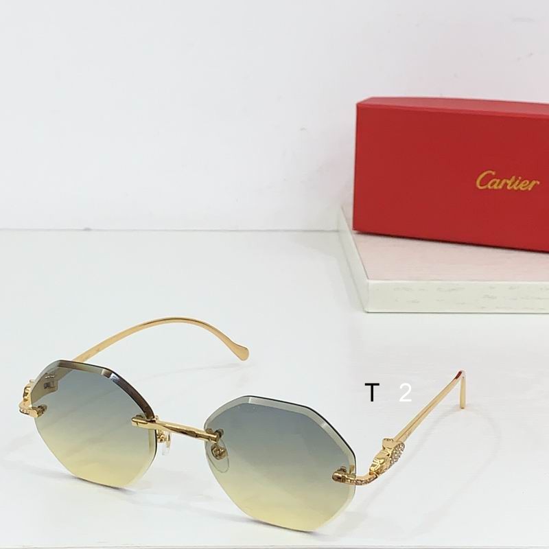 Cartier CT0518S b