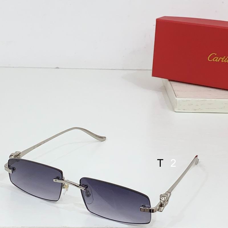 Cartier CT0505S 58 16-135 b
