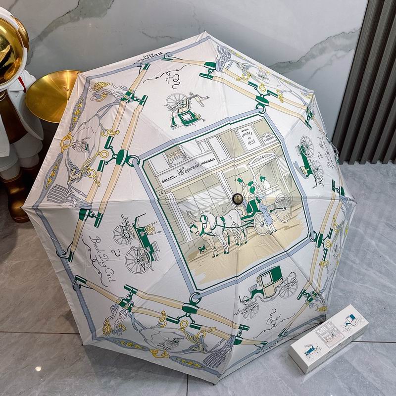 Hermes Umbrella 01