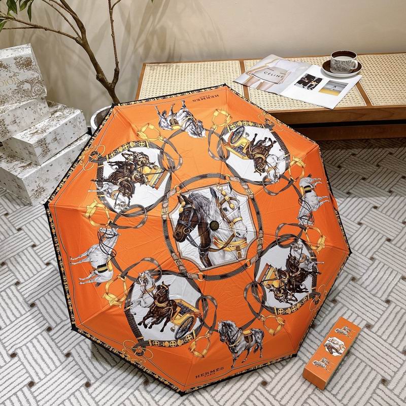 Hermes Umbrella 05