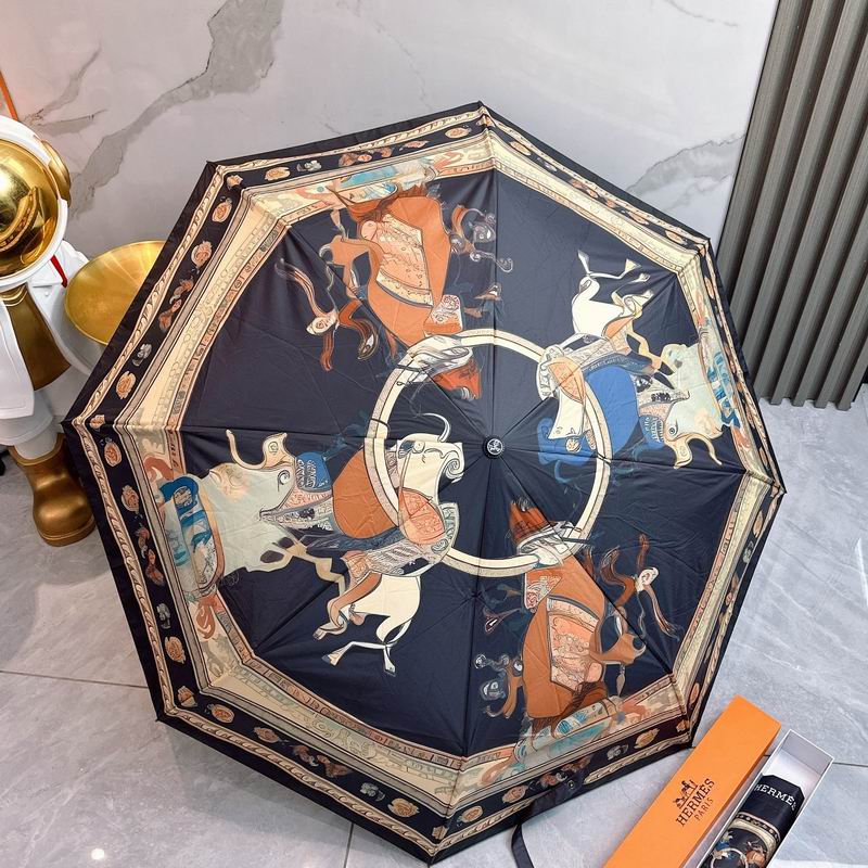 Hermes Umbrella 09