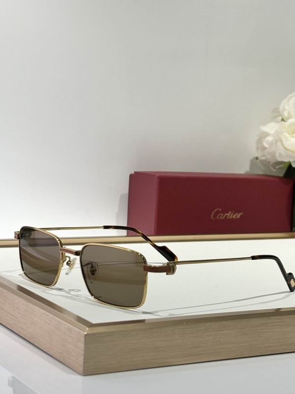 Cartier Glasses smh57