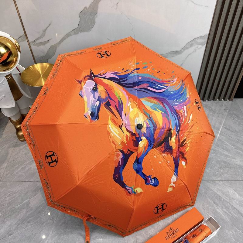 Hermes Umbrella hm19