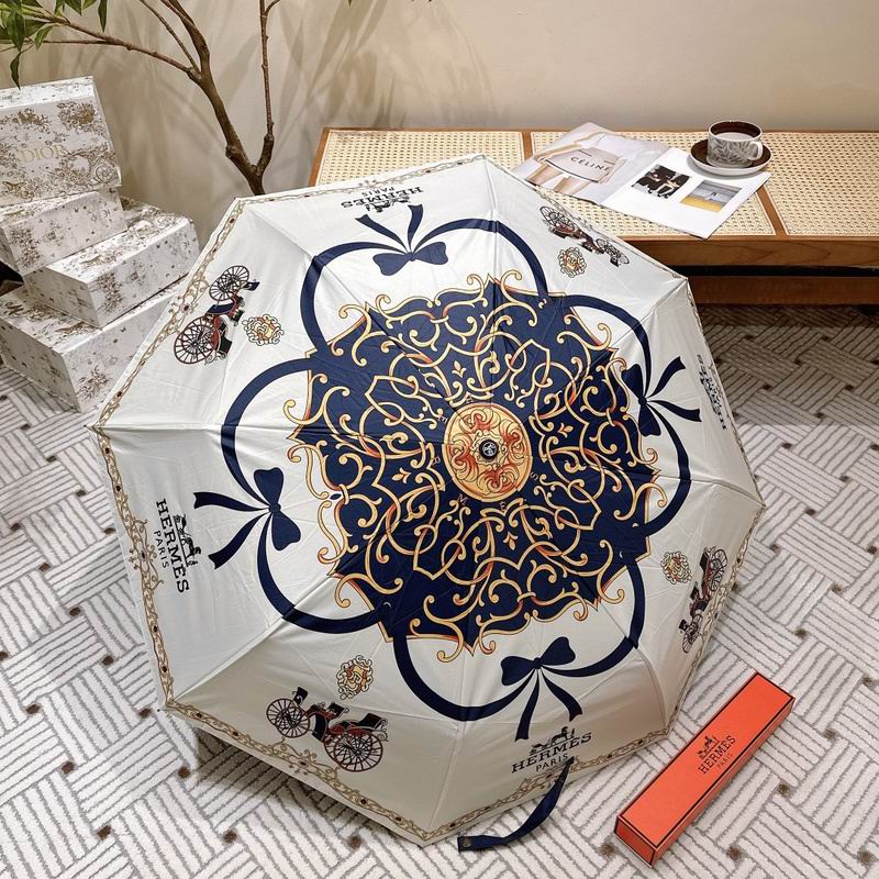 Hermes Umbrella hm20