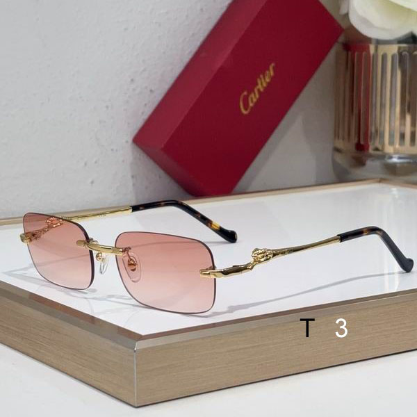 Cartier CT0281 55 18-140 C