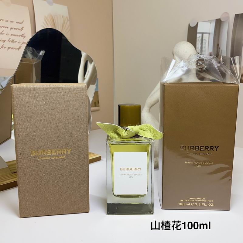 Burberry 100ml 34