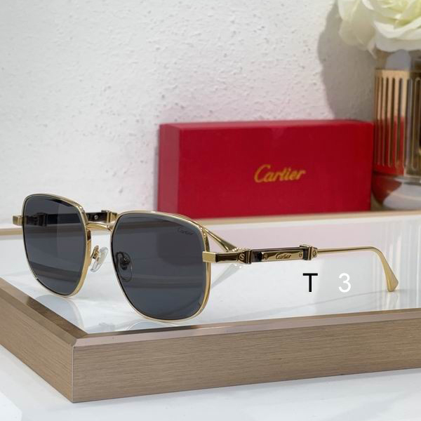 Cartier CT0485S 48 21-145 c