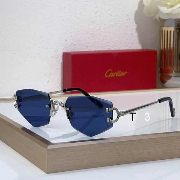 Cartier CT0582S 142 c
