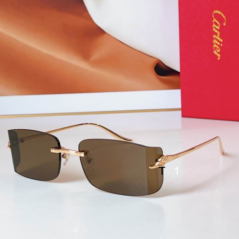 Cartier CT0503S 48 21-145 a