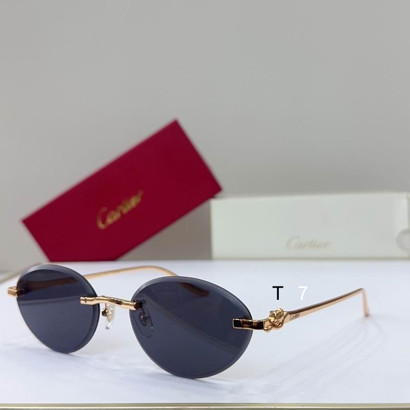 Cartier CT0504S 61 14-137 G