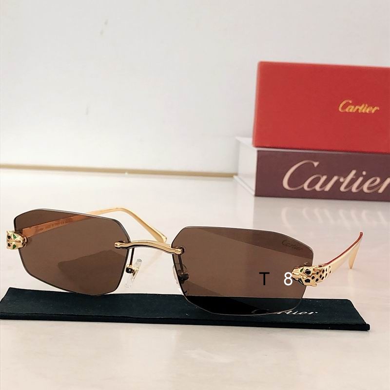 Cartier CT0474S 58 18-140 H