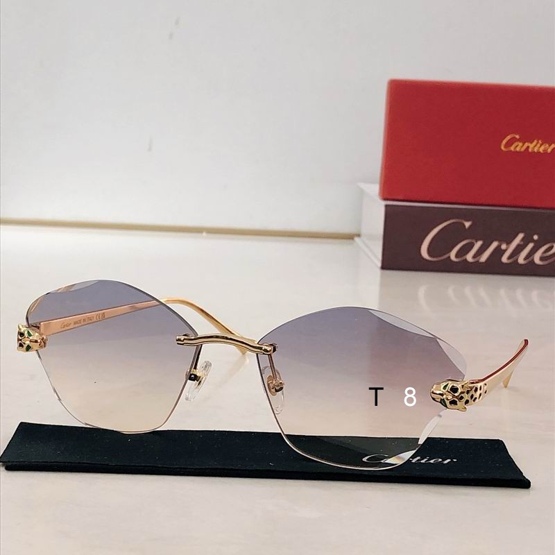 Cartier CT0476S 54 18-140 H