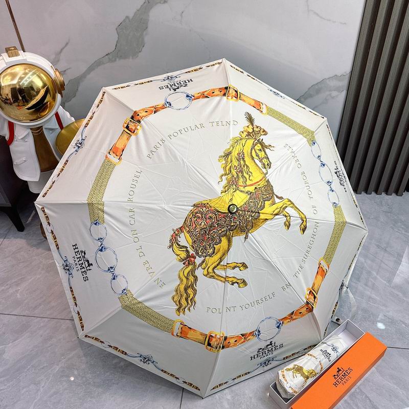 Hermes Umbrella 2-98