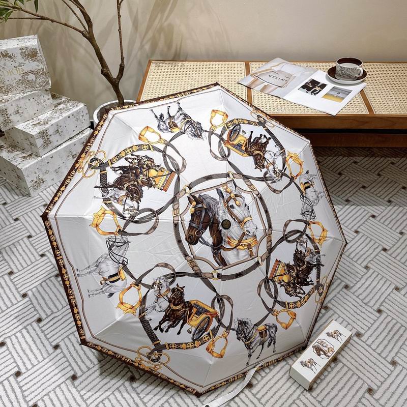 Hermes Umbrella 2-102