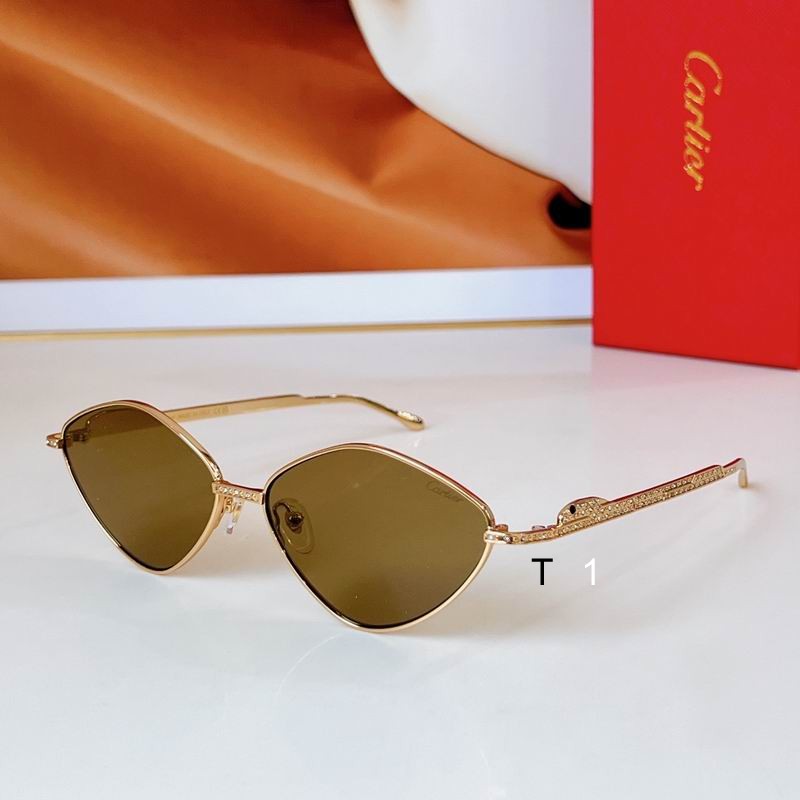 Cartier CT0489S 60 15 140 a