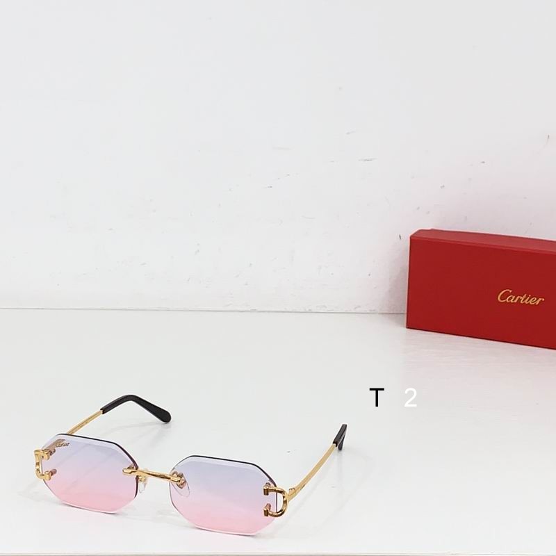 Cartier CT1628O 56 17 135 b