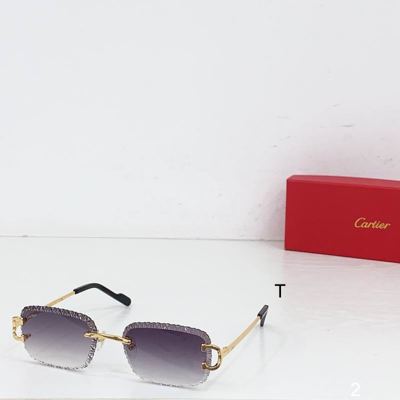 Cartier CT0696 1502170 b