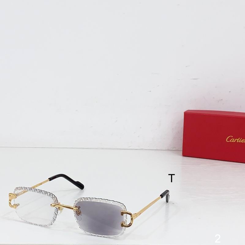 Cartier CT0696 b