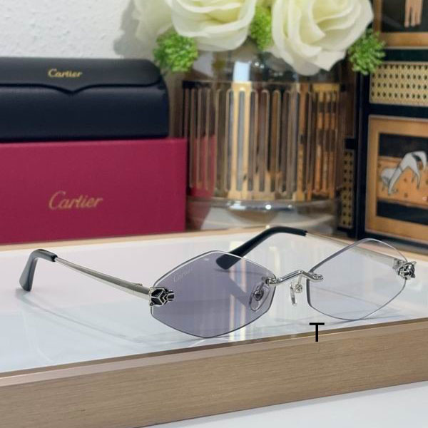 Cartier CT0433S 55 20-140 b