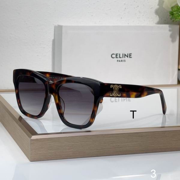 CELINE CL40253F 55 18-140 b