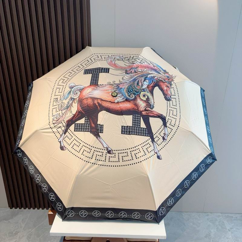 Hermes Umbrella 107