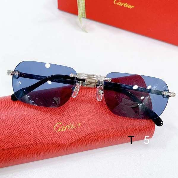 Cartier CT0499S 56-20-145 F