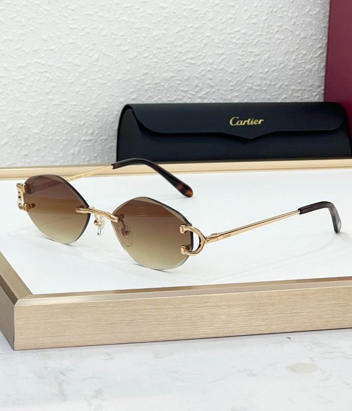 Cartier Glasses 08smh224