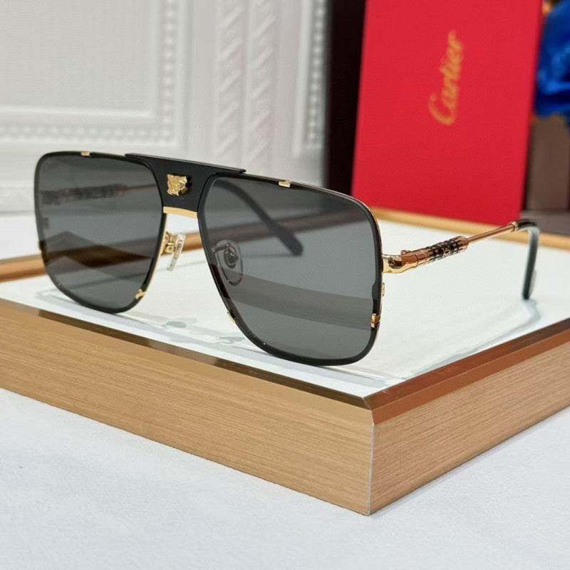 Cartier Glasses 08smh256