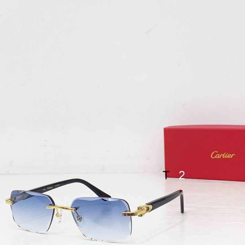 Cartier CT0047 b