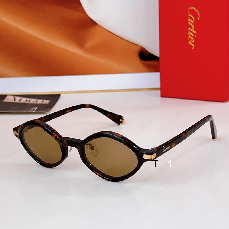 Cartier CT0540S 48 21-145 a