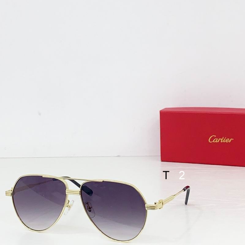 Cartier CT0303S 61 14-145  b