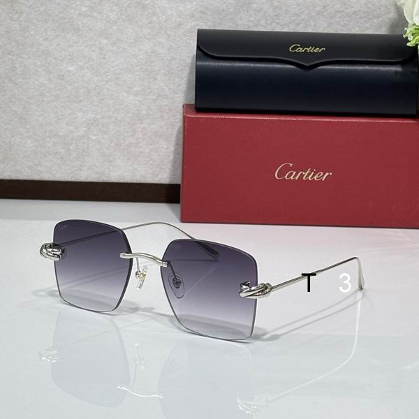 Cartier CT0508S 60 18-140 C